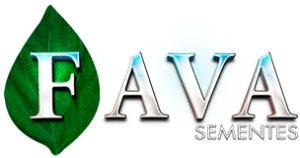 Fava Sementes